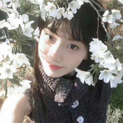 杜鲁门总统传
