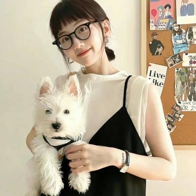 谎话连篇2