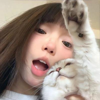 这该死的爱