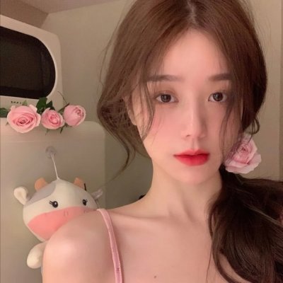 红尾鸽